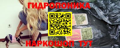 шишки Малоярославец