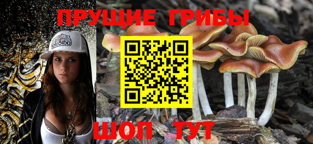 Галлюциногенные грибы прущие грибы Десногорск