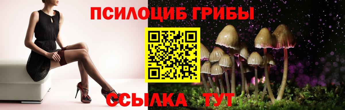 Десногорск  Галлюциногенные грибы мухоморы  Вход с VPN 
